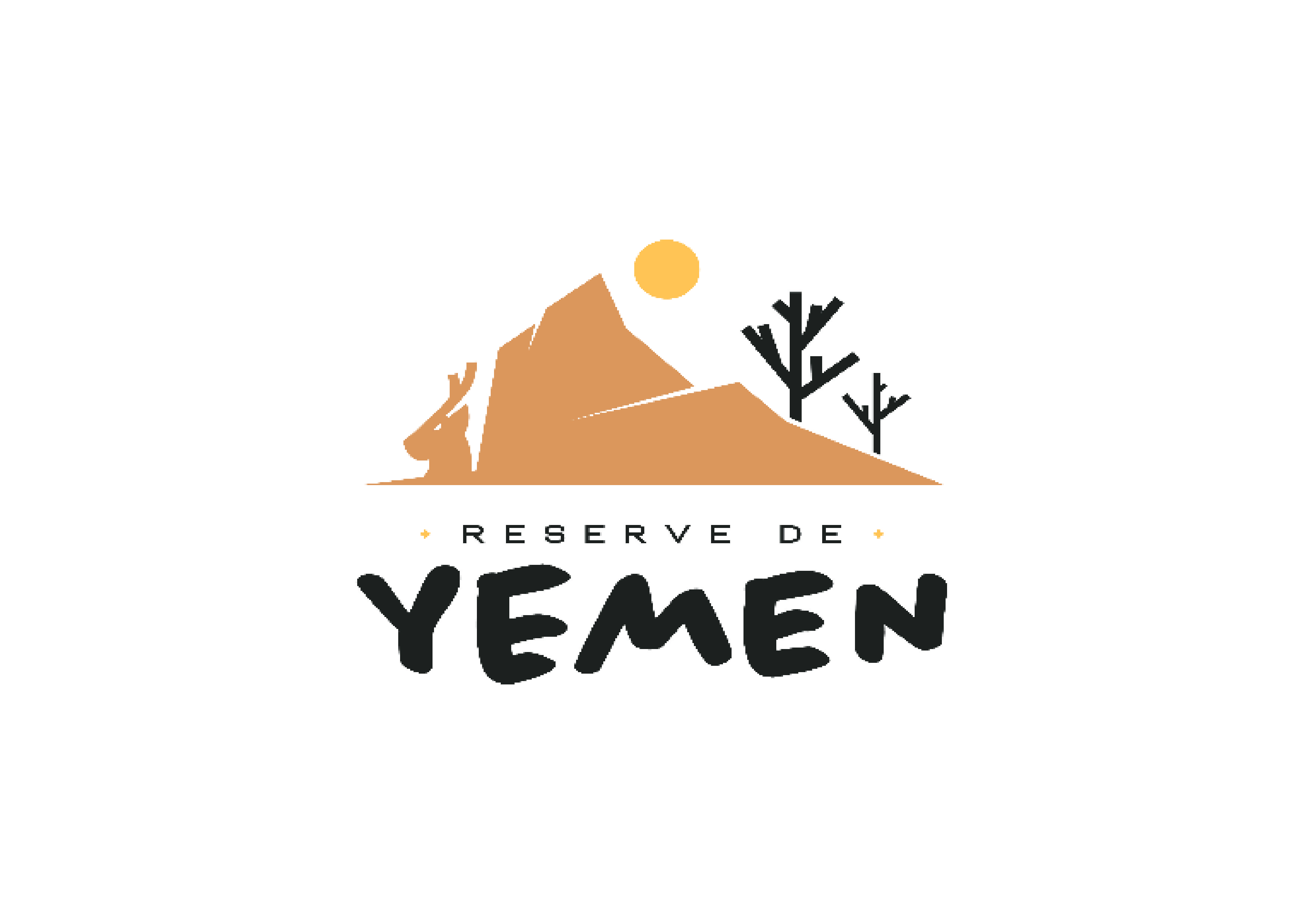 Yemen Kids Race